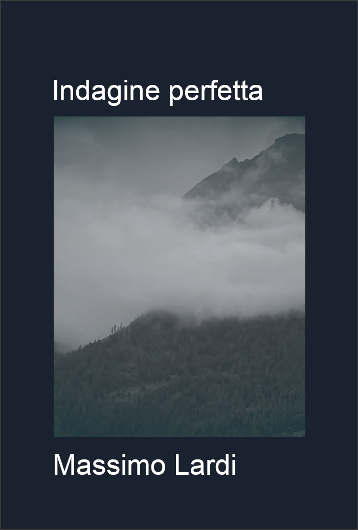 Indagine perfetta
